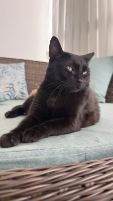 Foto de perfil de Stella