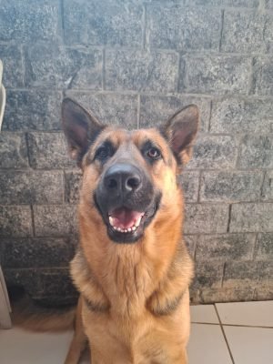 Foto de perfil de Lola